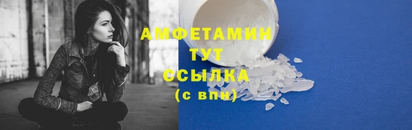 шишки Алзамай