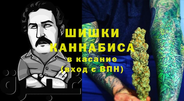 шишки Алзамай