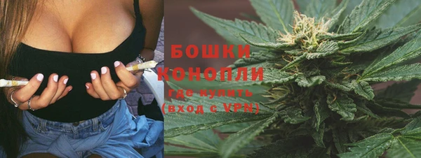 шишки Алзамай
