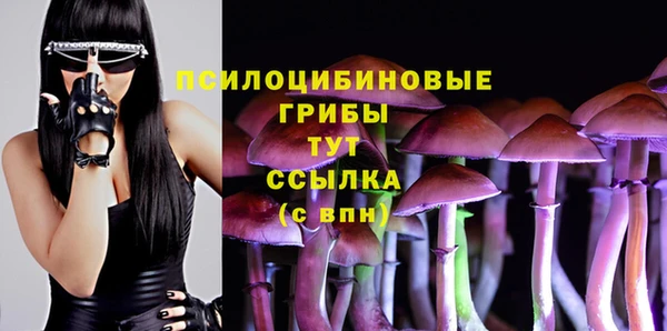 ПСИЛОЦИБИНОВЫЕ ГРИБЫ Алексин