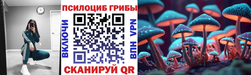 Галлюциногенные грибы мицелий  цены наркотик  маркетплейс наркотические препараты  Апатиты 